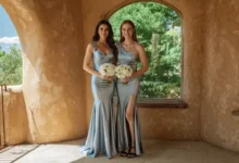 Online Shopping Tips on Choosing the Ideal Prom Dress That Is Affordable and Trendy